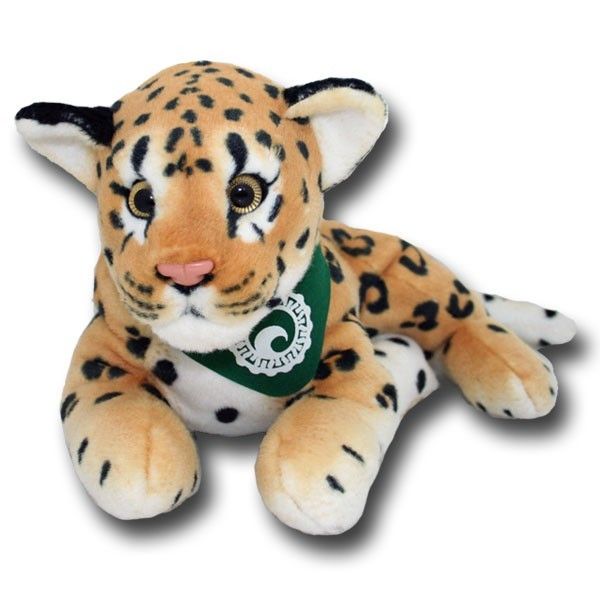 Stuffed Animal